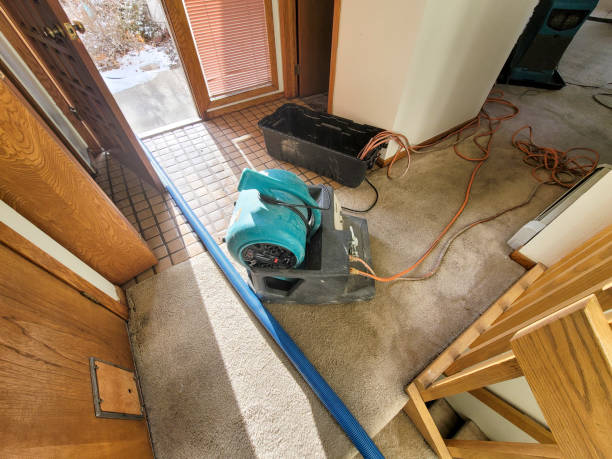 Best Basement water damage restoration  in Old Hill, CT