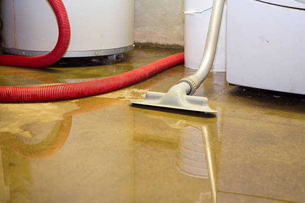Best Fire Damage Restoration  in Old Hill, CT