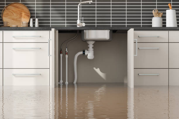 Best Local water damage restoration  in Old Hill, CT
