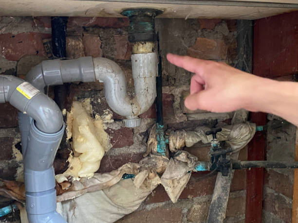 Best Water damage restoration near me  in Old Hill, CT