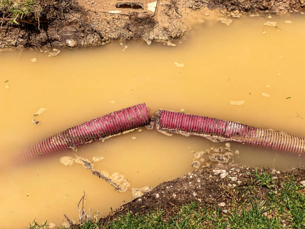 Best Mold removal after water damage  in Old Hill, CT